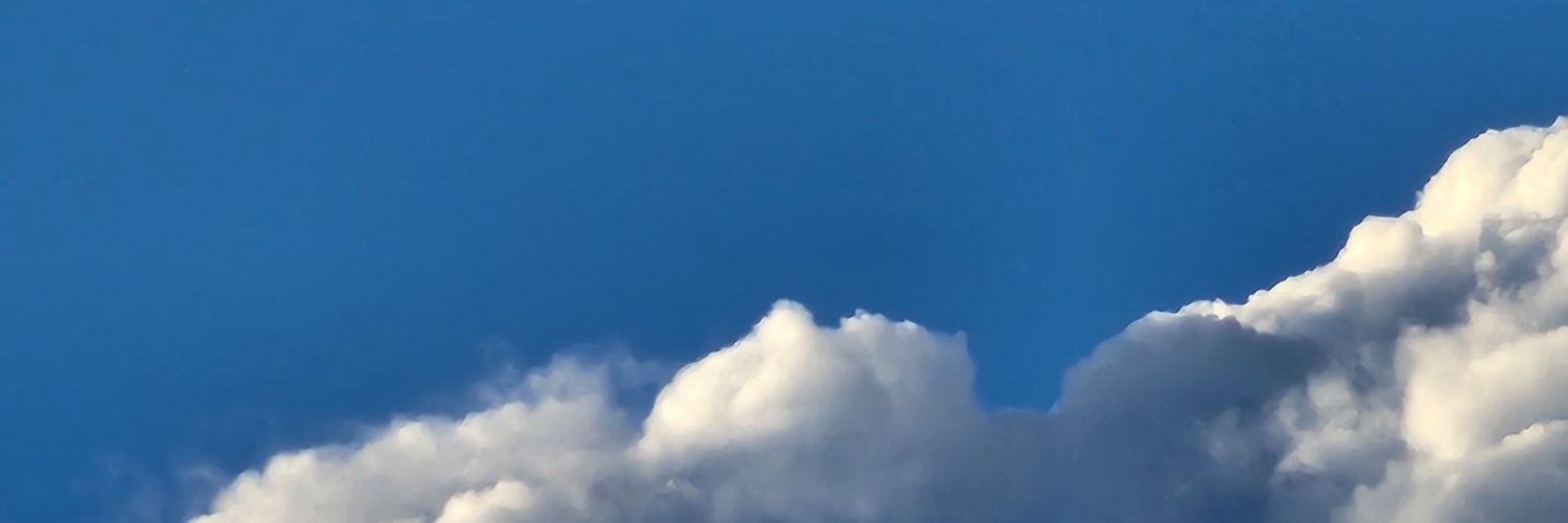 panzzp's profile banner image