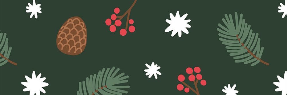 pinpnrk's profile banner image