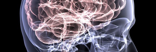 SealsNatalie Profile Banner