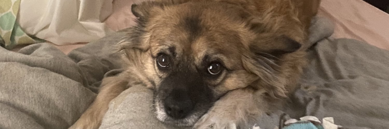 averycarterlit's profile banner image