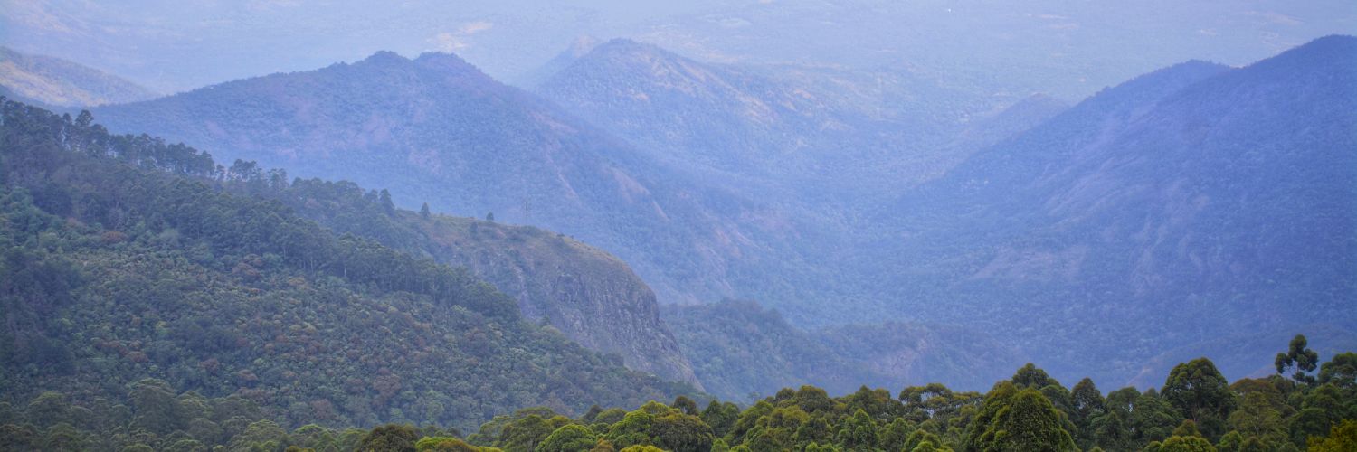 Mohan281's profile banner image
