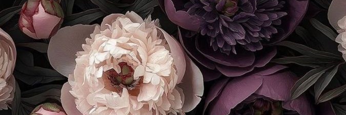 iamrosakd's profile banner image