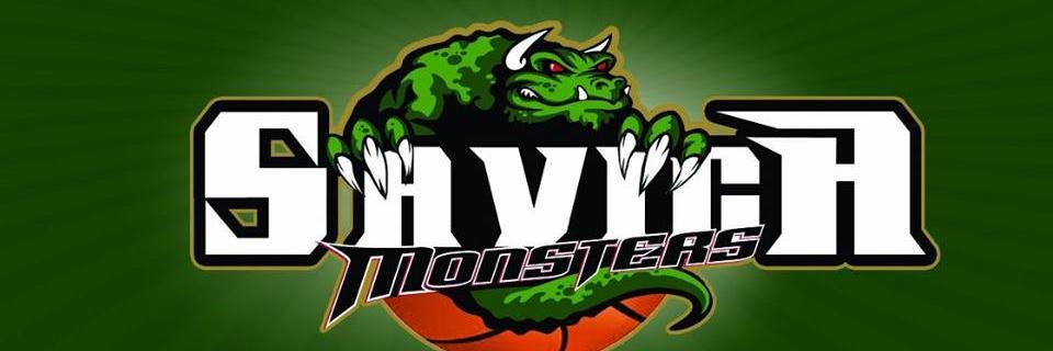 SavicaBC's profile banner image
