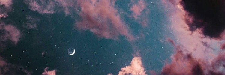 Moni_Padilla's profile banner image
