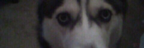 _Mulatto_'s profile banner image