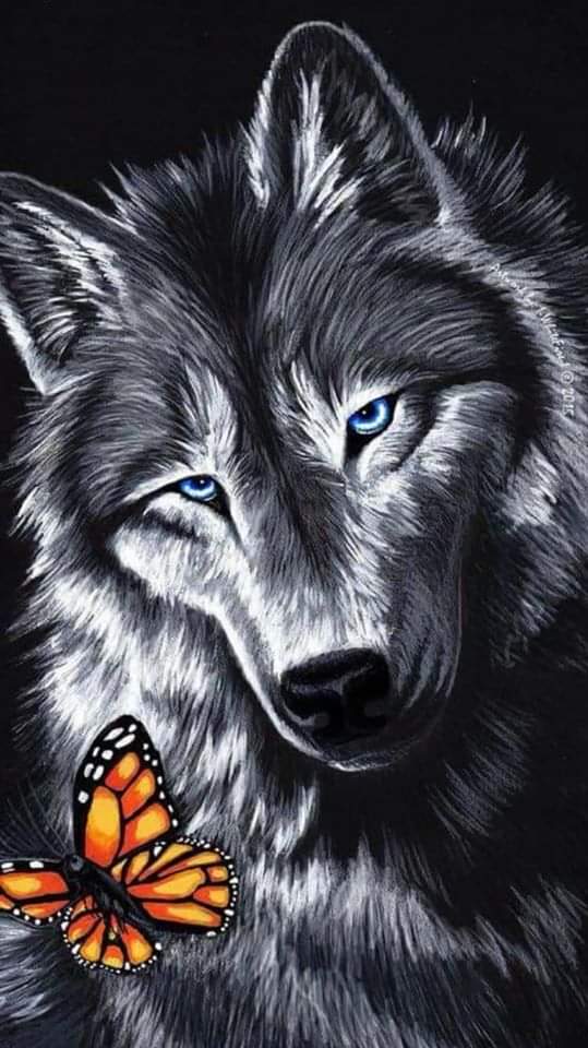 BlueMom63's profile banner image
