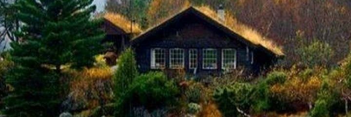 QueenHilltop's profile banner image