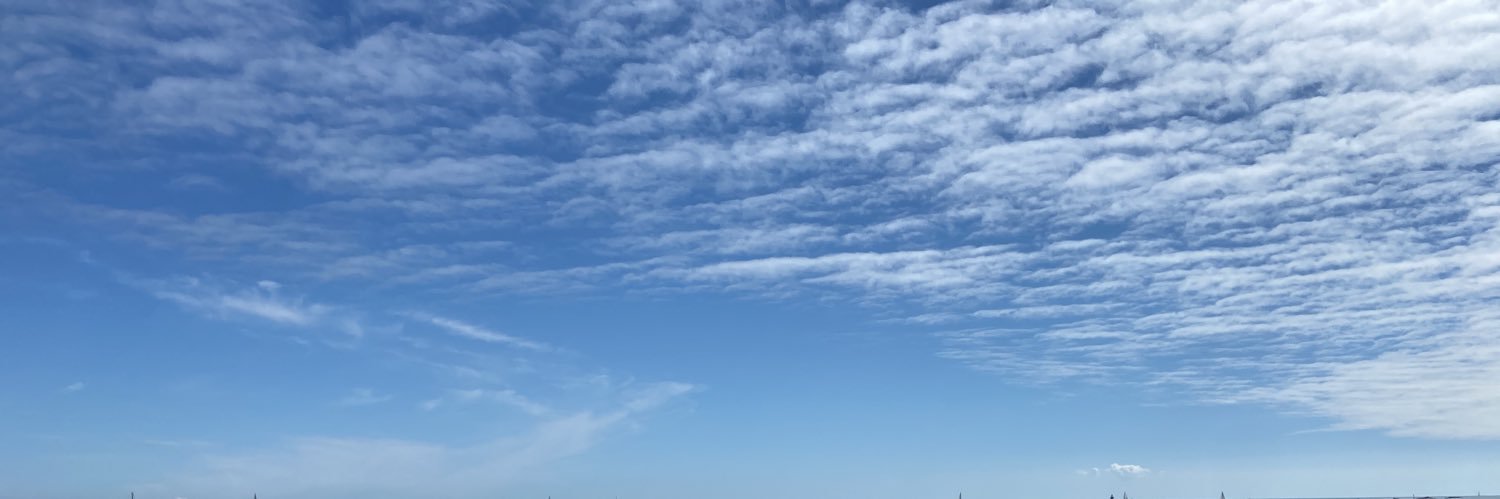 mwrightdaily's profile banner image