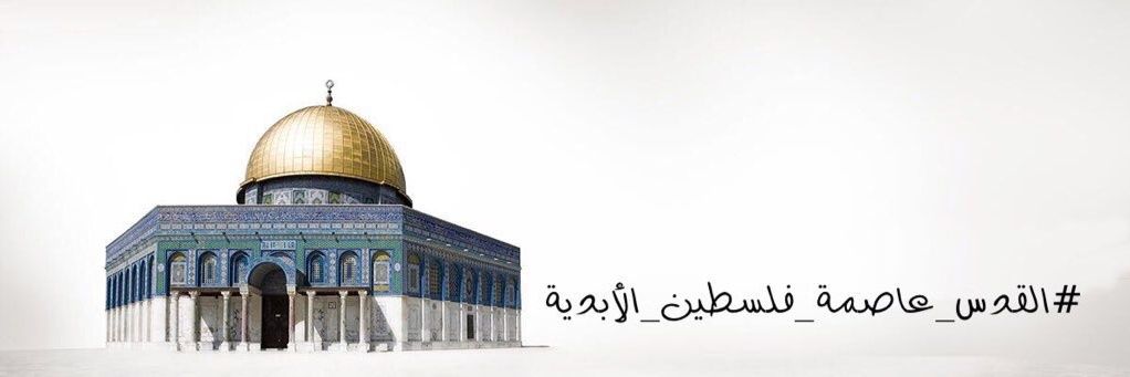 BoTurki11's profile banner image