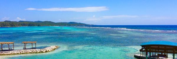 PrivacyPanacea Profile Banner