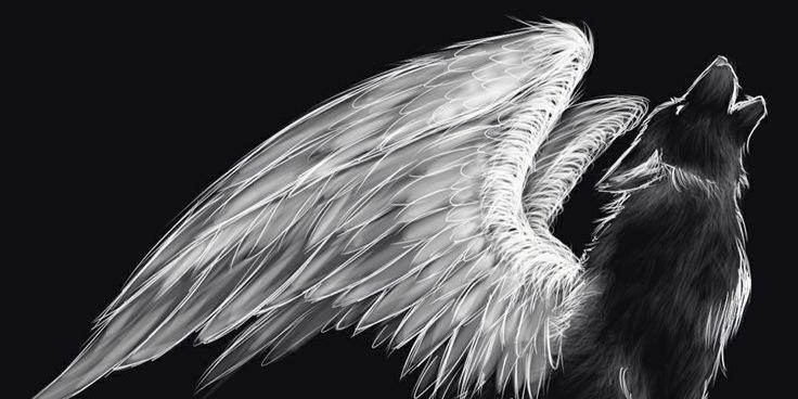 WolfEyeGaming's profile banner image