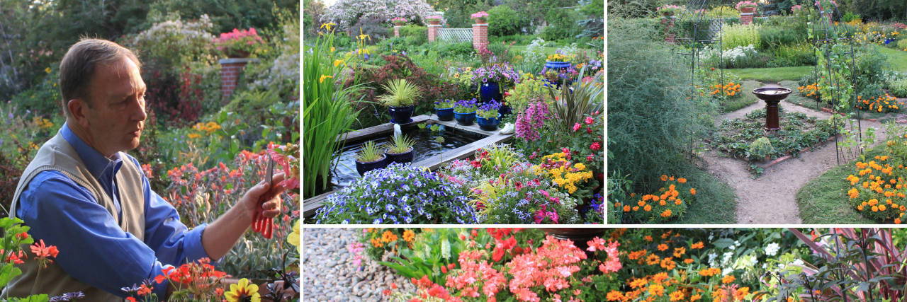 ProctorsGarden's profile banner image