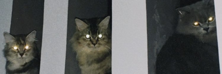 sataniskecil's profile banner image