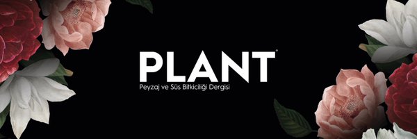 plantpsbd Profile Banner