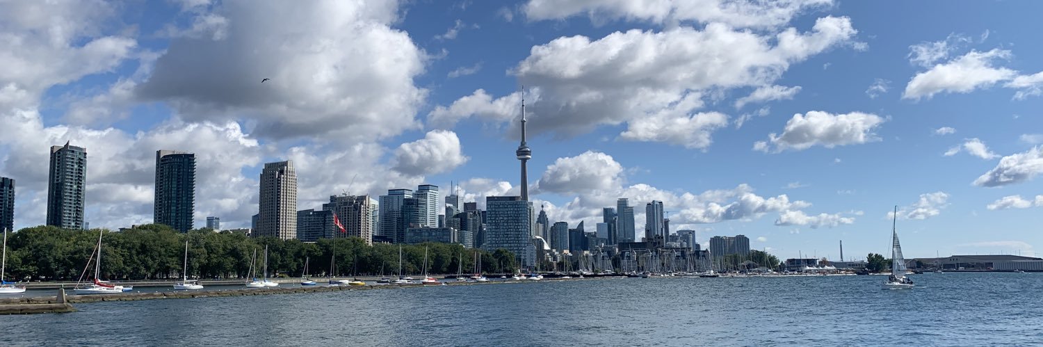 Colleen Schmidt banner