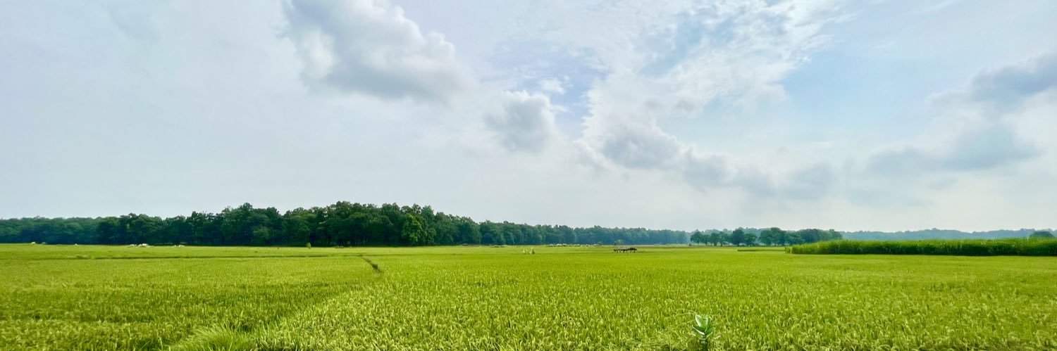 vinithagrajan's profile banner image