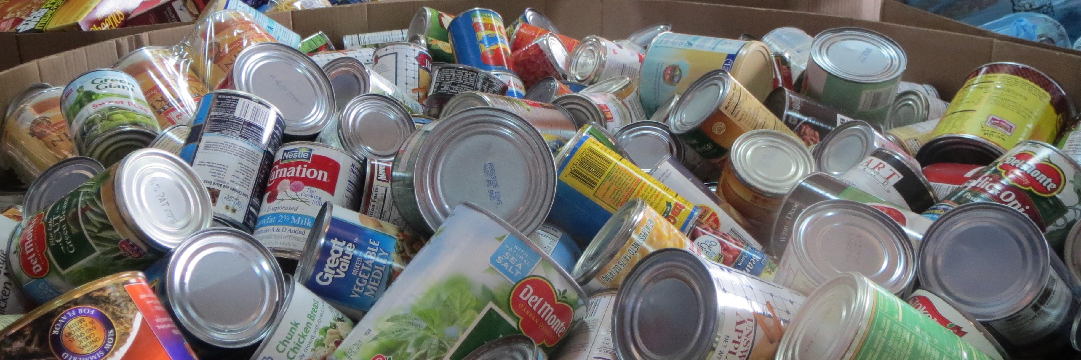 Second Harvest SGA banner