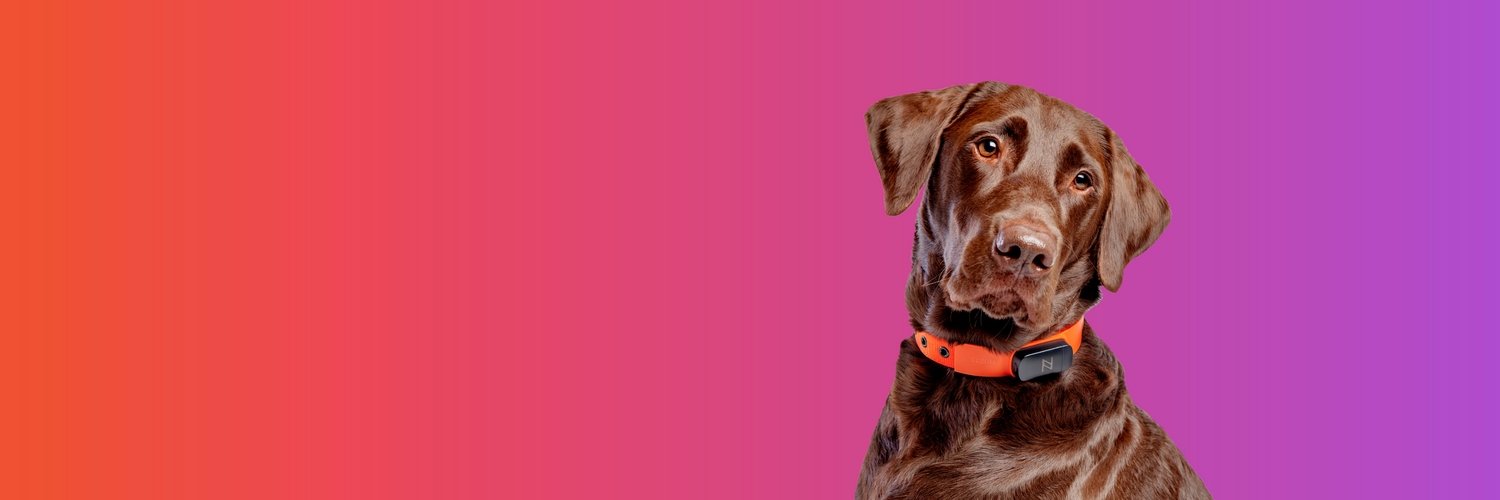 HelloNuzzle's profile banner image