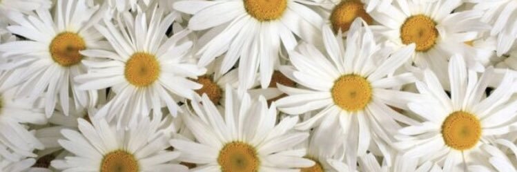 xokiirtyy's profile banner image