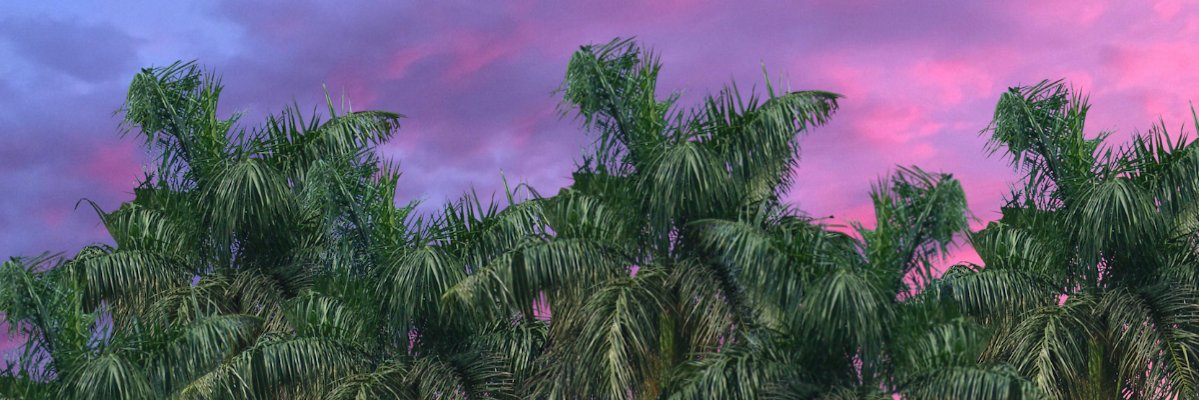 WhittyBB's profile banner image