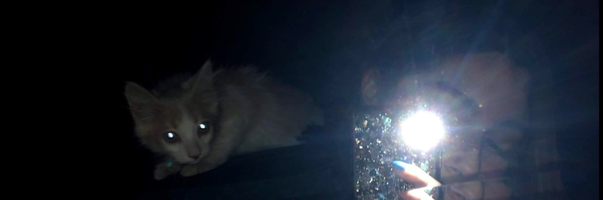 anrledes's profile banner image