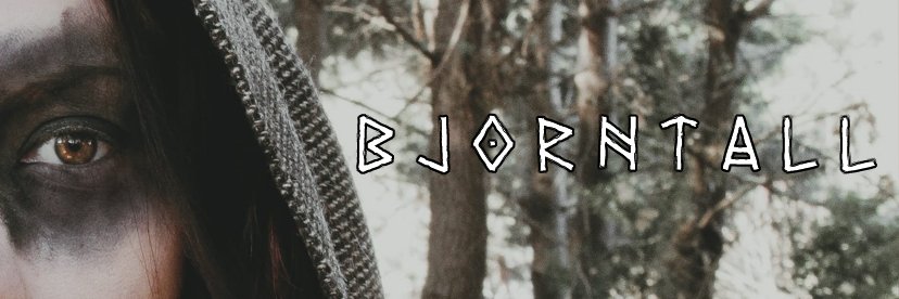 RiddlySyv's profile banner image