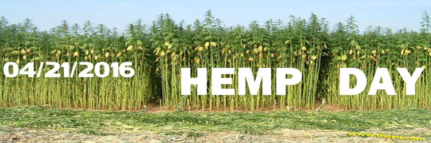 421HempDay's profile banner image