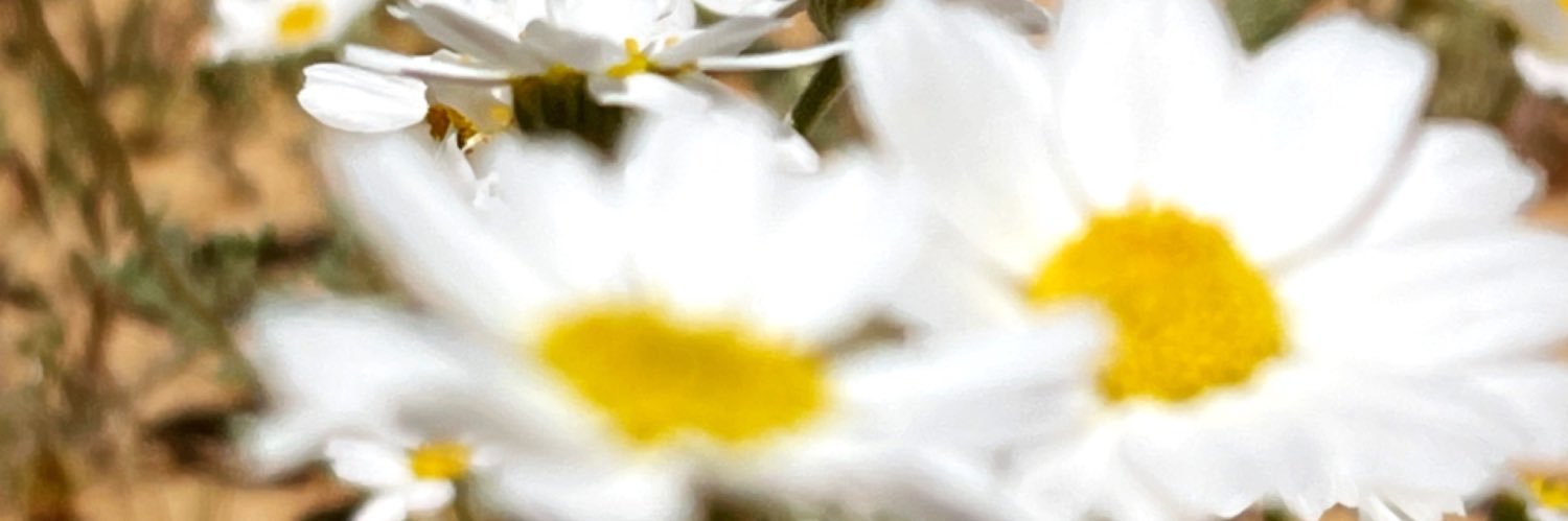 aabboo491's profile banner image