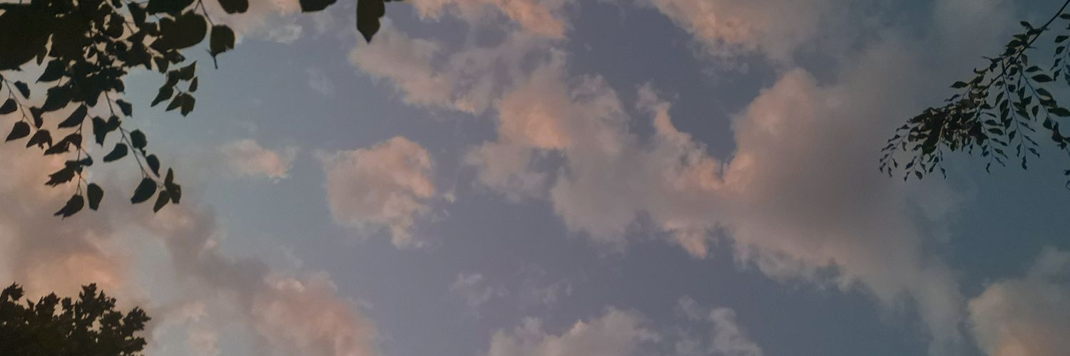 __Floriane___'s profile banner image
