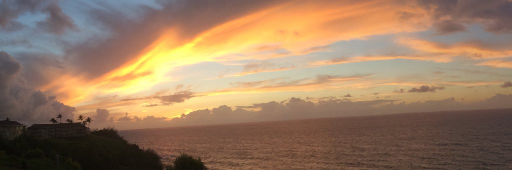 AnnaTrombetta_'s profile banner image