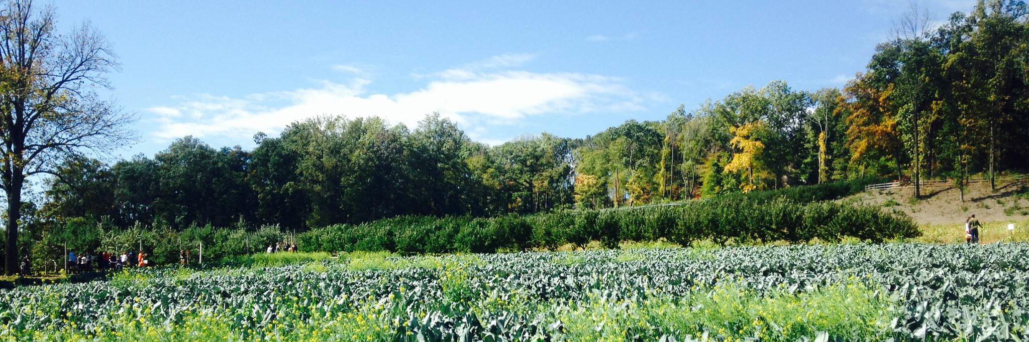 WightmansFarms's profile banner image