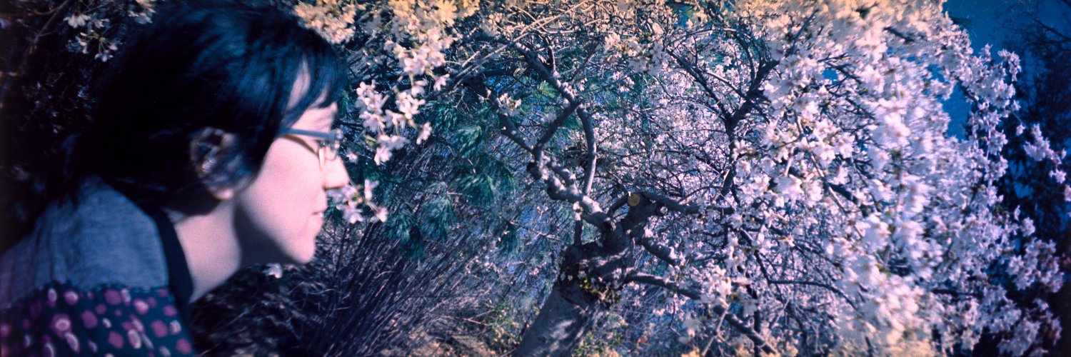 PixelFleur's profile banner image