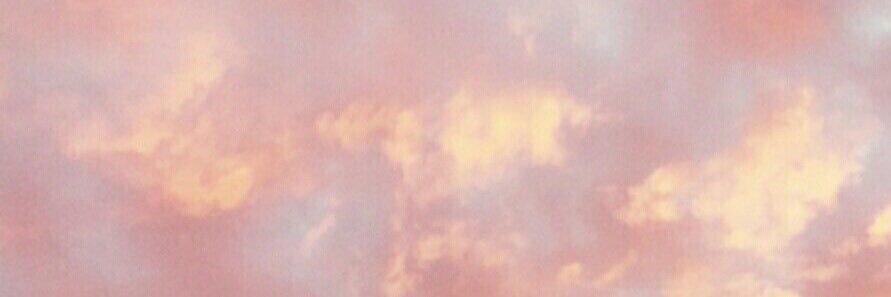 ohkimchee's profile banner image