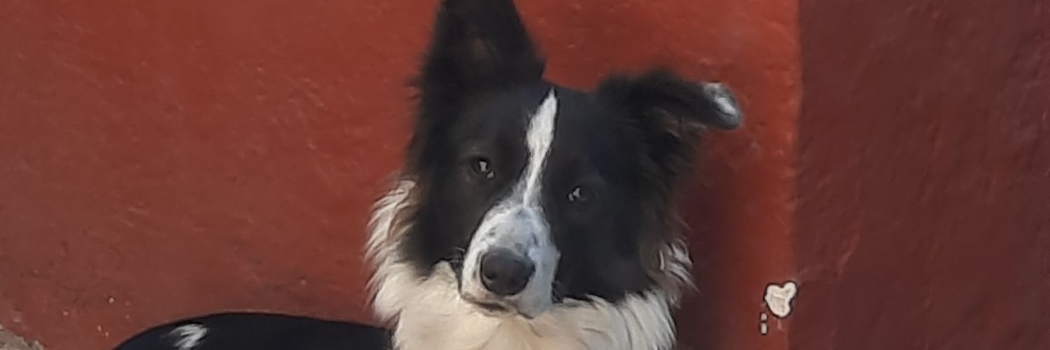 Charlie banner