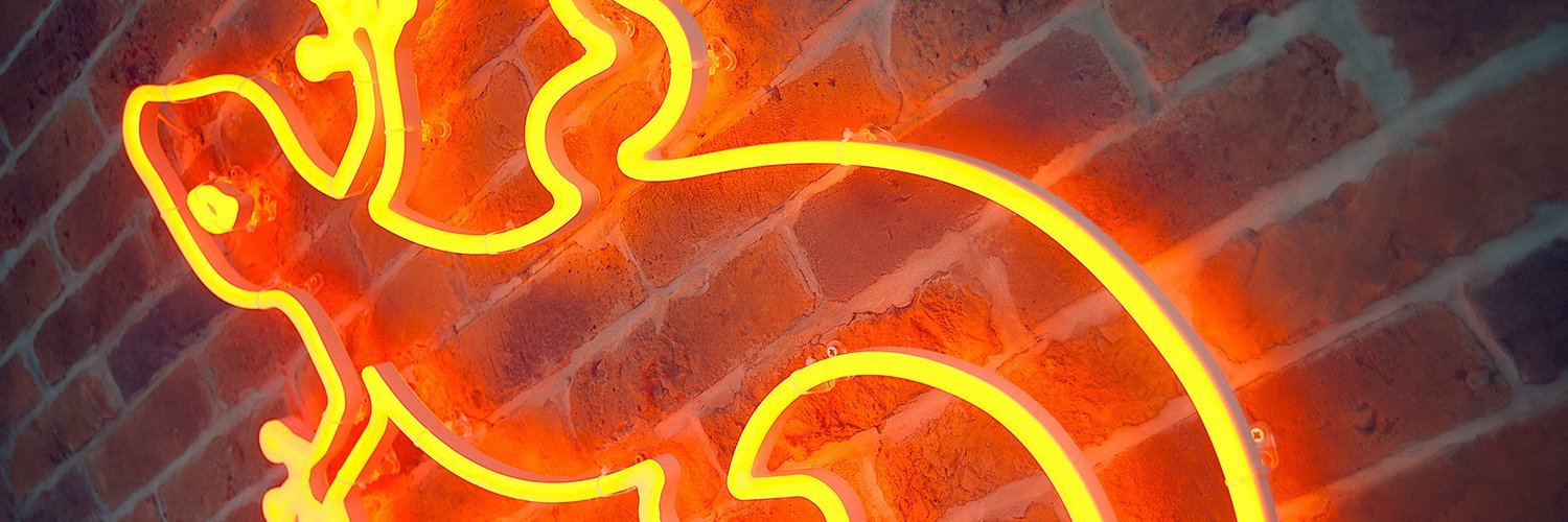 GeckoDirect's profile banner image