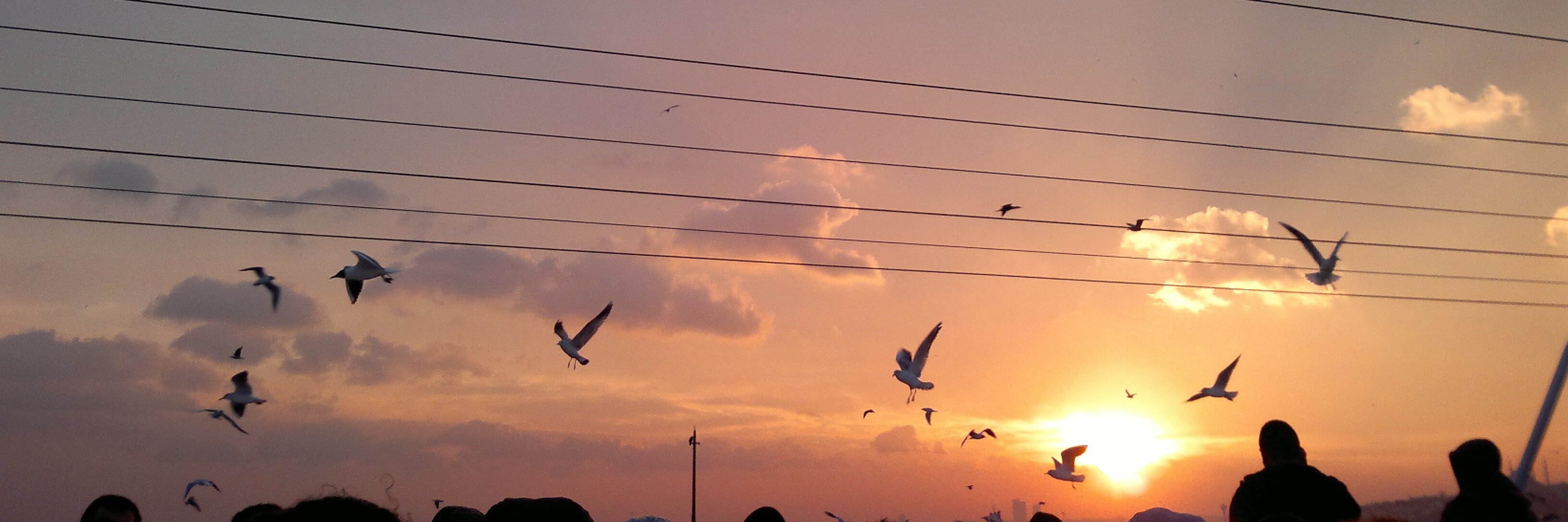 NaturalActor's profile banner image