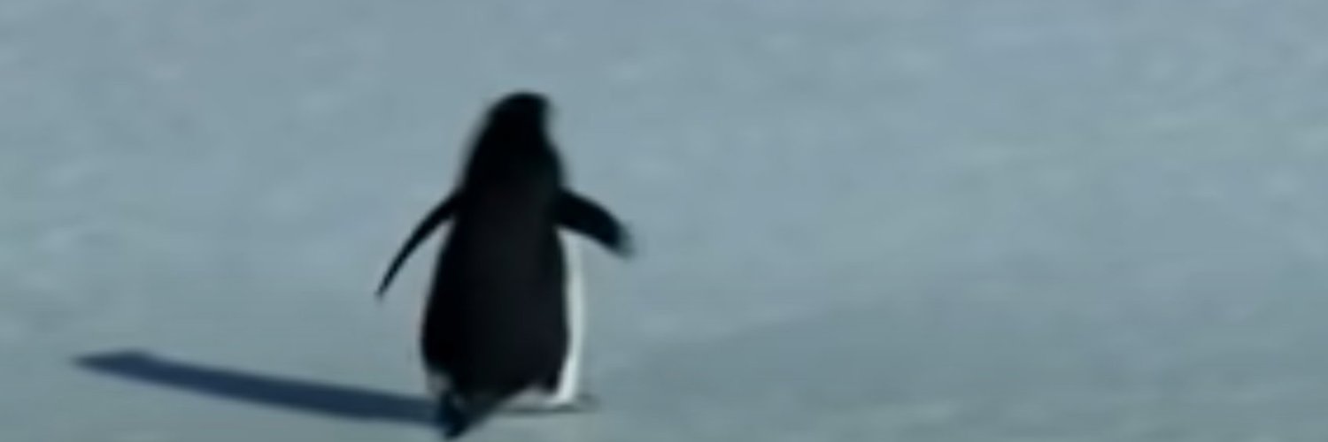imverynuts's profile banner image