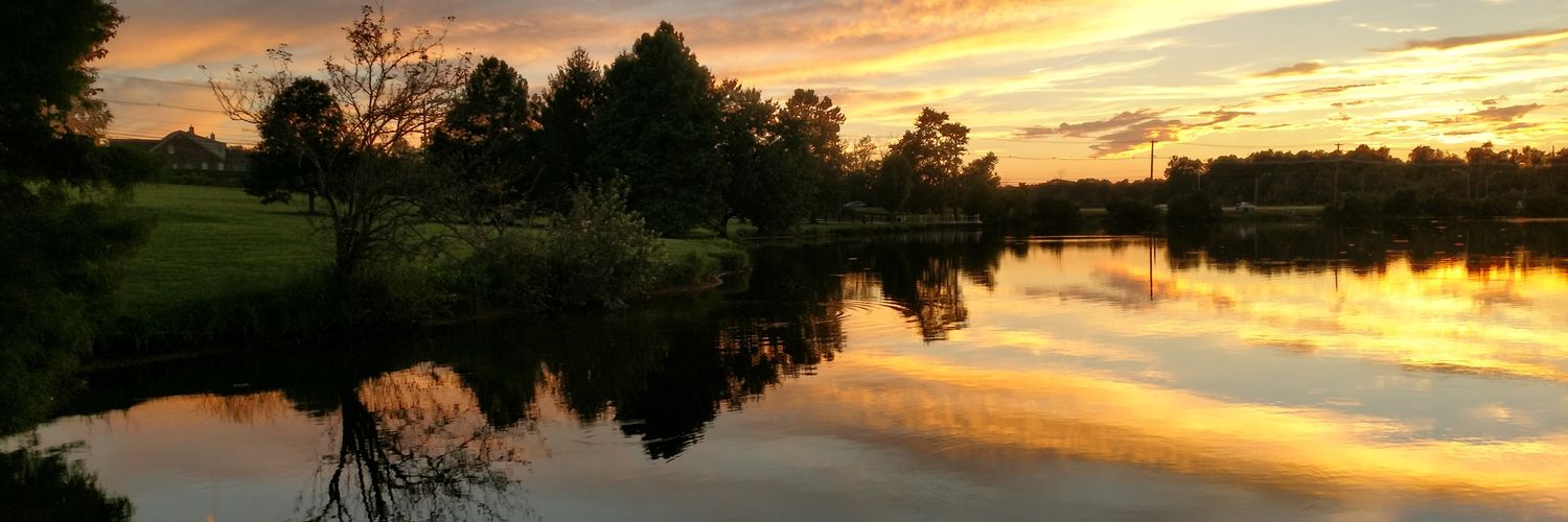 BournsIdentity's profile banner image