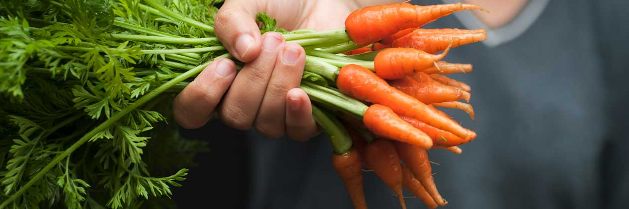 CropSwapAU's profile banner image