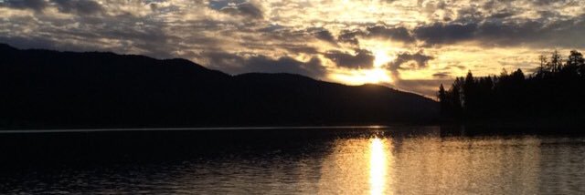 michelleeyyy2's profile banner image