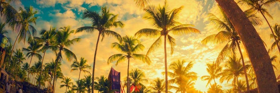 kaii_samara's profile banner image