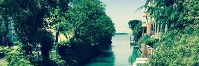 MariaVi57770580's profile banner image