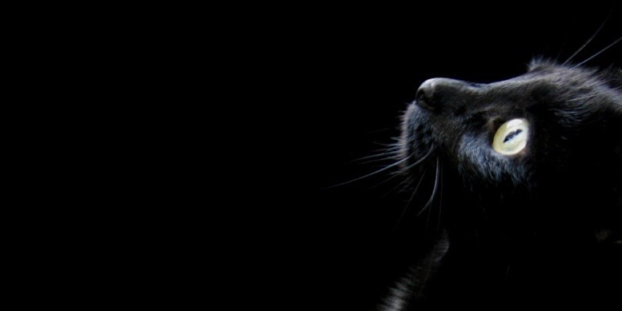 Clauya's profile banner image