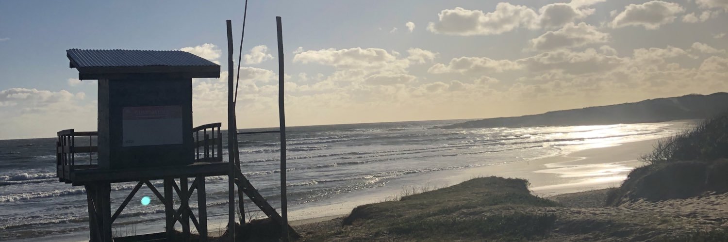 Mariana Sequeira banner