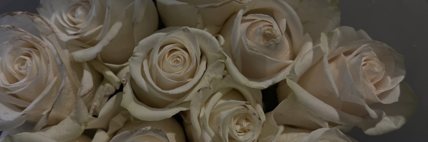 maidollasign's profile banner image