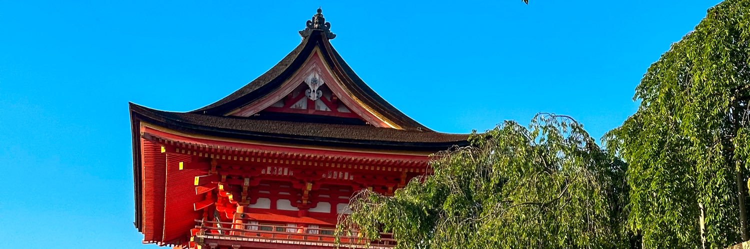 Guillermo Johanning banner