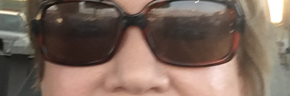 Sue Schaffer banner