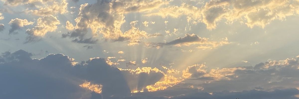 Ronnette18's profile banner image