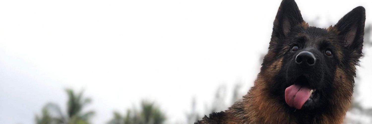 XeneizeRouss's profile banner image