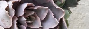 MooreKaren93's profile banner image